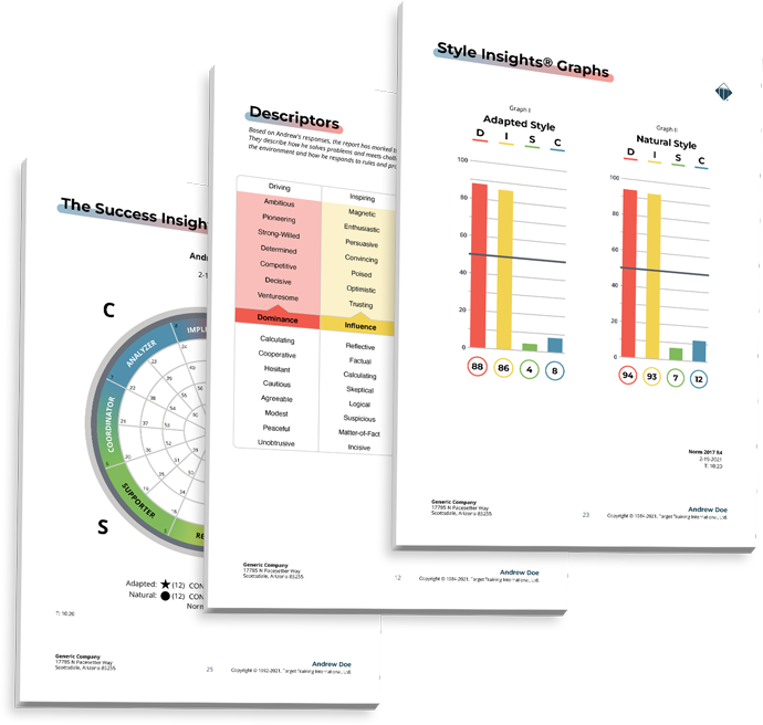 DISC Assessment and Insight Graph examples - A service RDL offers.
