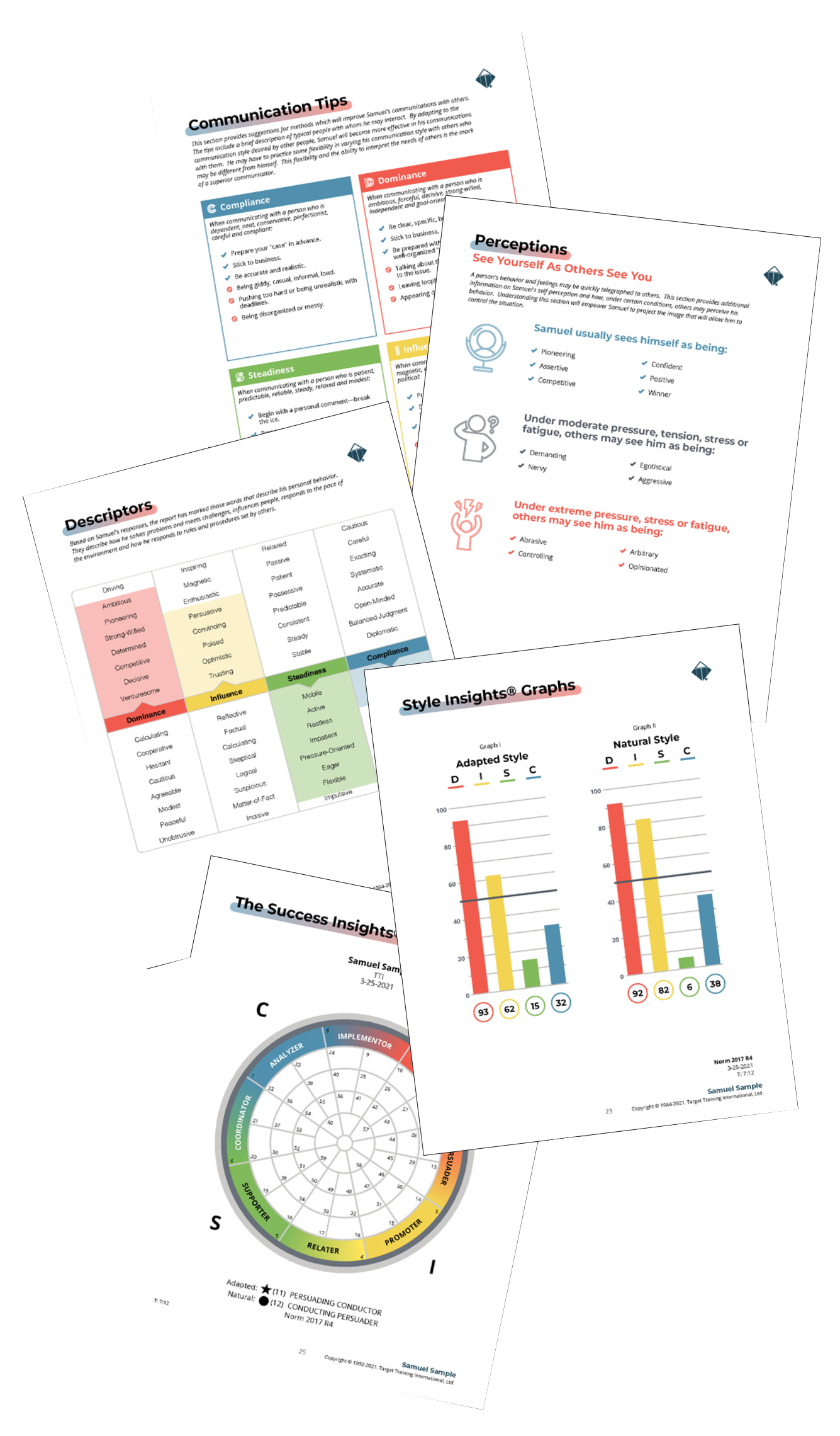 Examples of DISC reports - A service that RDL offers.